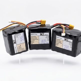 Batterie lithium-ion haute capacité 2s